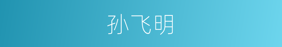 孙飞明的同义词