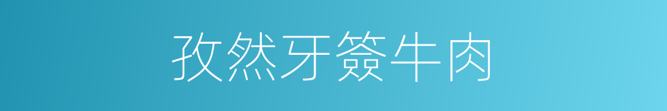 孜然牙簽牛肉的同義詞