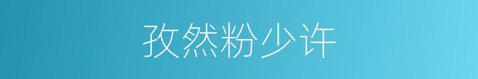 孜然粉少许的同义词