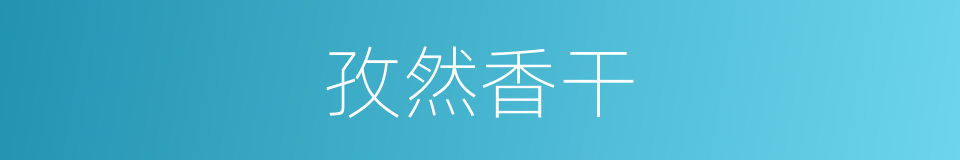 孜然香干的同义词