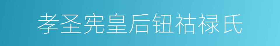 孝圣宪皇后钮祜禄氏的同义词