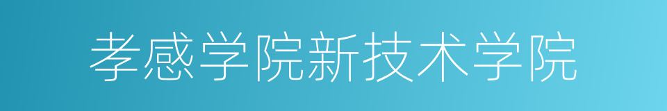 孝感学院新技术学院的同义词