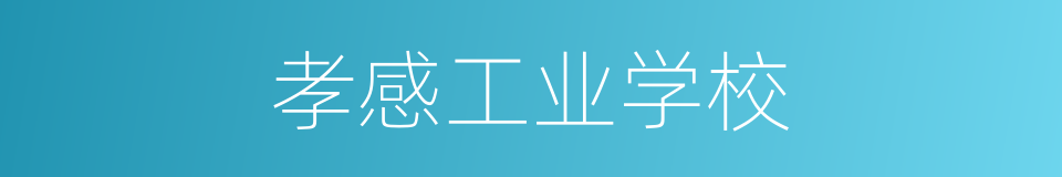 孝感工业学校的同义词