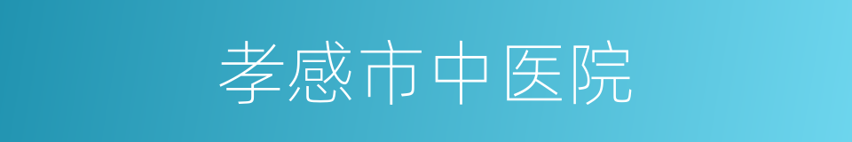 孝感市中医院的同义词