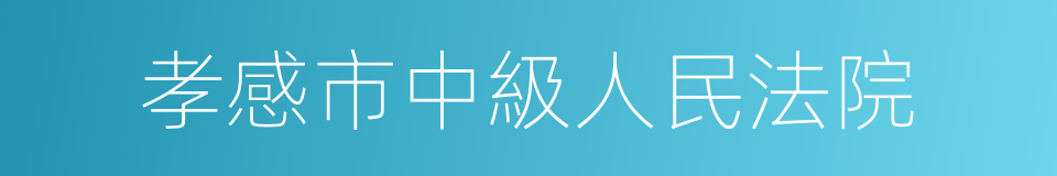 孝感市中級人民法院的同義詞