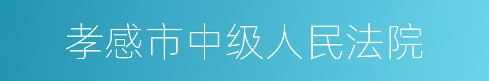 孝感市中级人民法院的同义词