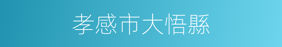 孝感市大悟縣的同義詞
