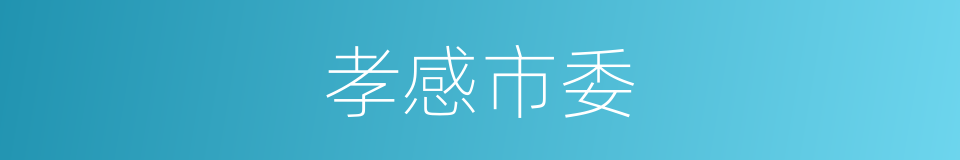 孝感市委的同义词