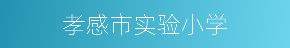 孝感市实验小学的同义词