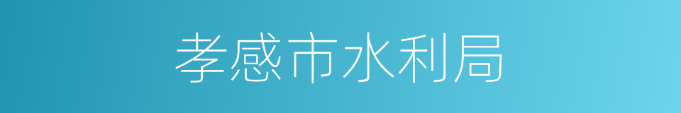孝感市水利局的同义词