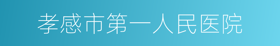 孝感市第一人民医院的同义词