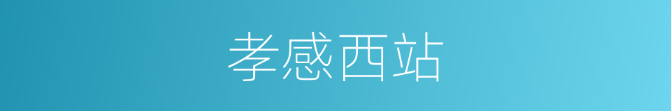 孝感西站的同义词