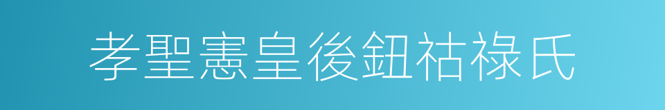 孝聖憲皇後鈕祜祿氏的同義詞