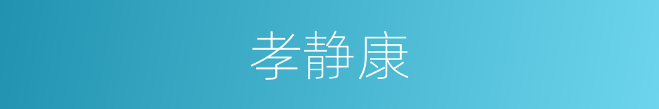 孝静康的同义词