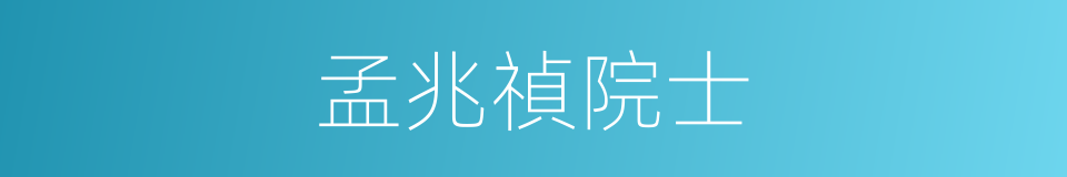 孟兆禎院士的同義詞