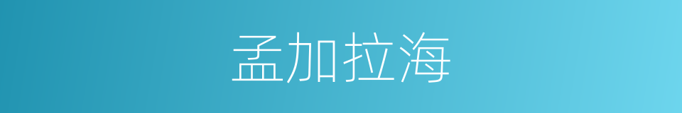 孟加拉海的同义词