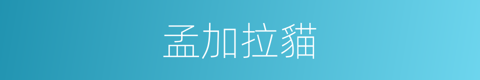 孟加拉貓的同義詞