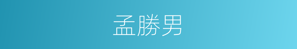 孟勝男的同義詞