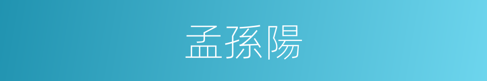 孟孫陽的同義詞