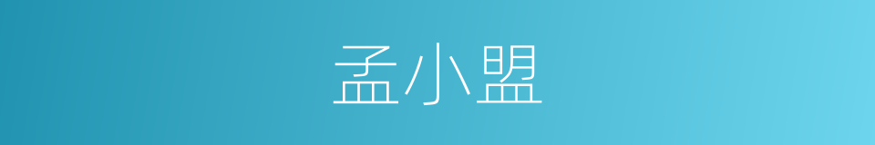 孟小盟的同义词