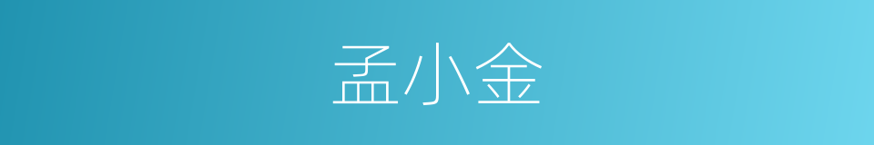孟小金的同义词
