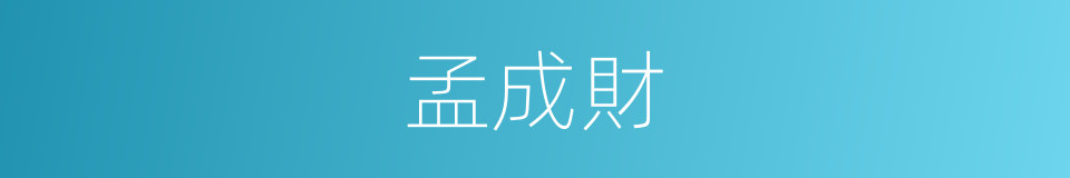 孟成財的同義詞