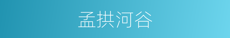 孟拱河谷的同义词