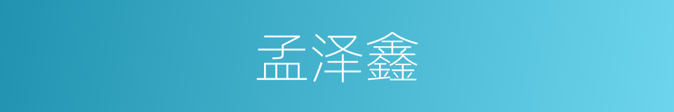 孟泽鑫的同义词
