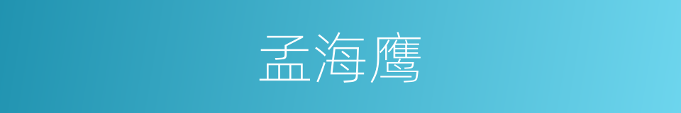 孟海鹰的同义词