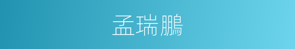 孟瑞鵬的同義詞