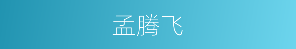 孟腾飞的同义词