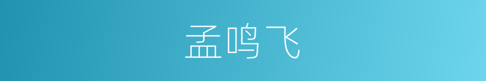 孟鸣飞的同义词