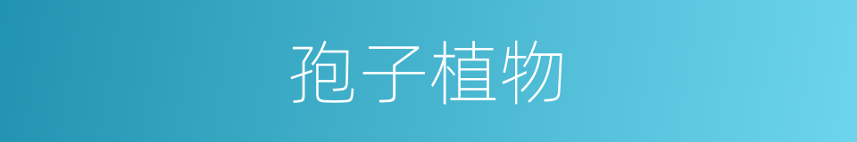 孢子植物的意思