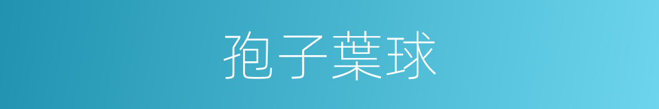 孢子葉球的同義詞