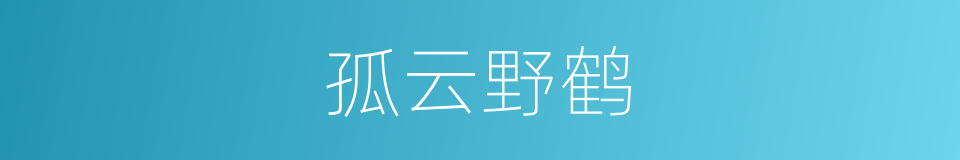 孤云野鹤的意思