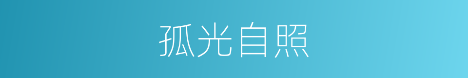 孤光自照的同义词
