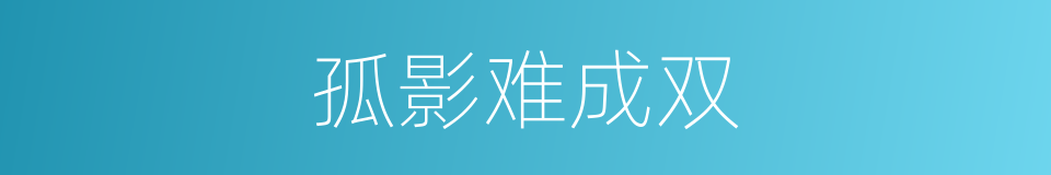 孤影难成双的同义词