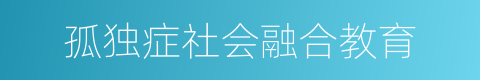 孤独症社会融合教育的同义词