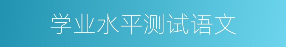学业水平测试语文的同义词