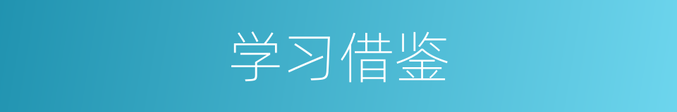 学习借鉴的同义词