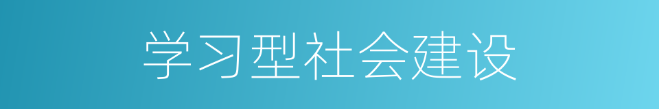 学习型社会建设的同义词