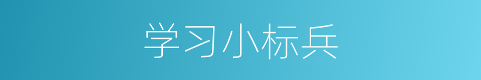 学习小标兵的同义词