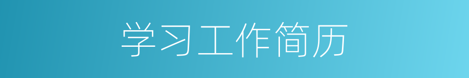 学习工作简历的同义词