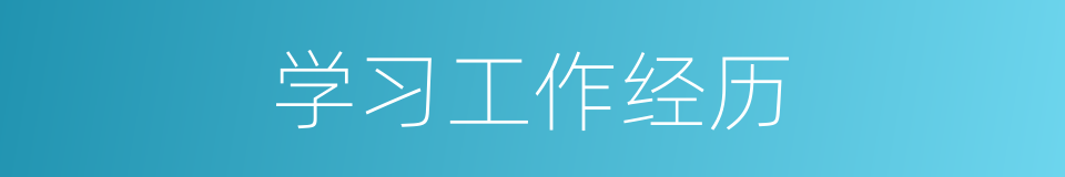 学习工作经历的同义词