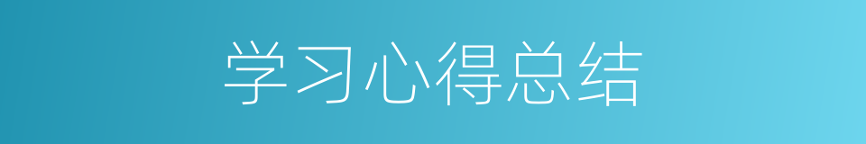 学习心得总结的同义词