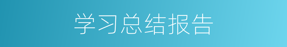 学习总结报告的同义词
