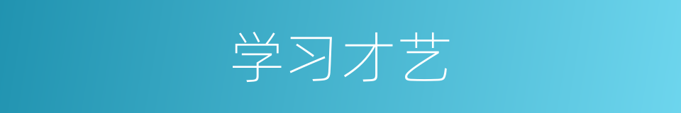 学习才艺的同义词