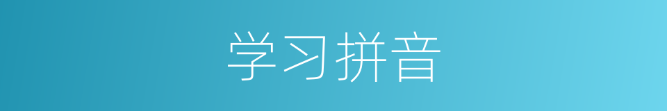学习拼音的同义词