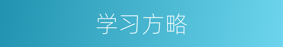 学习方略的同义词