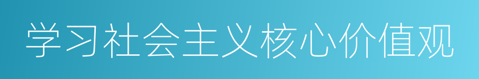 学习社会主义核心价值观的同义词